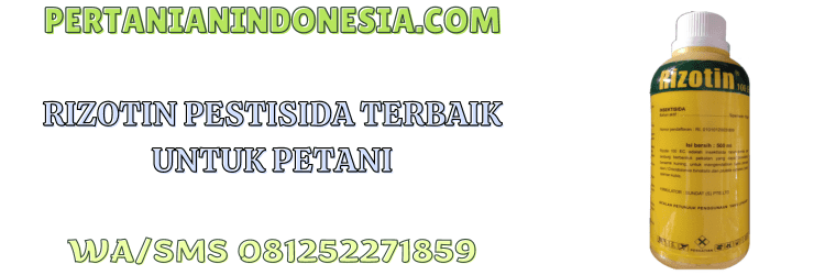 rizotin,pestisida,pestisida rizotin,rizotin 100 ec,insektisida,pertanian indonesia